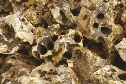 Piatra Naturala Pietre Decorative Moon Stone