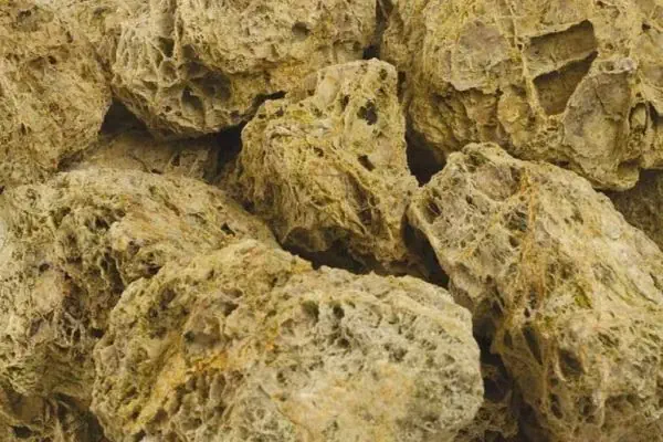 Декоративные камни из натурального камня Спагетти Грин Декоративные камни из натурального камня Спагетти Грин