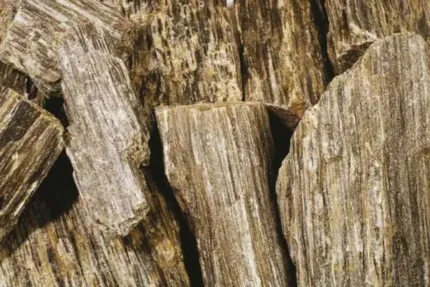 Piatra Naturala Pietre Decorative Wooden Stone